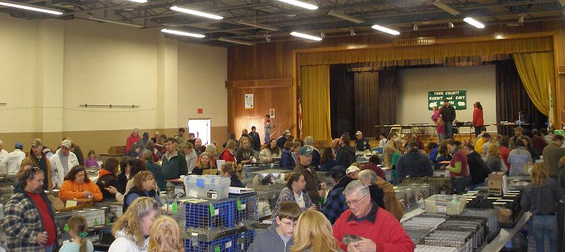The 4-H center in York was packed
