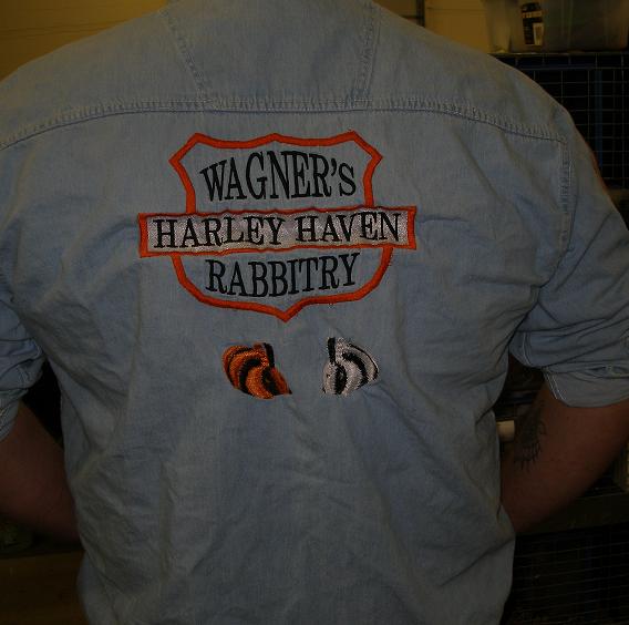 The Harley Bunny shirt.
