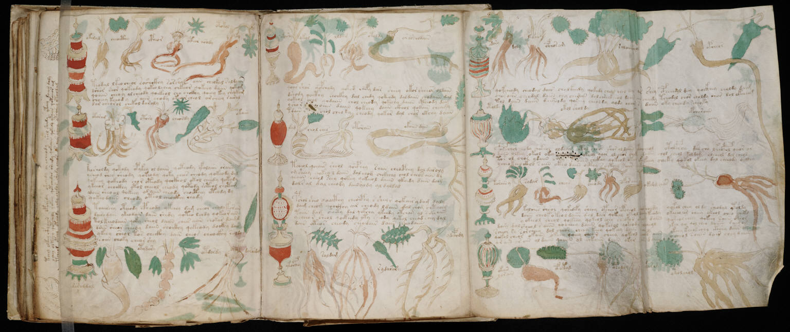a folio page from the Voynich